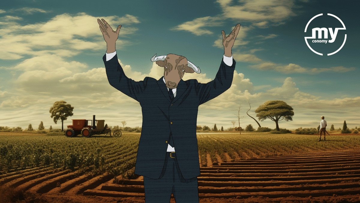 Visa y Agrotoken invierten en Brasil