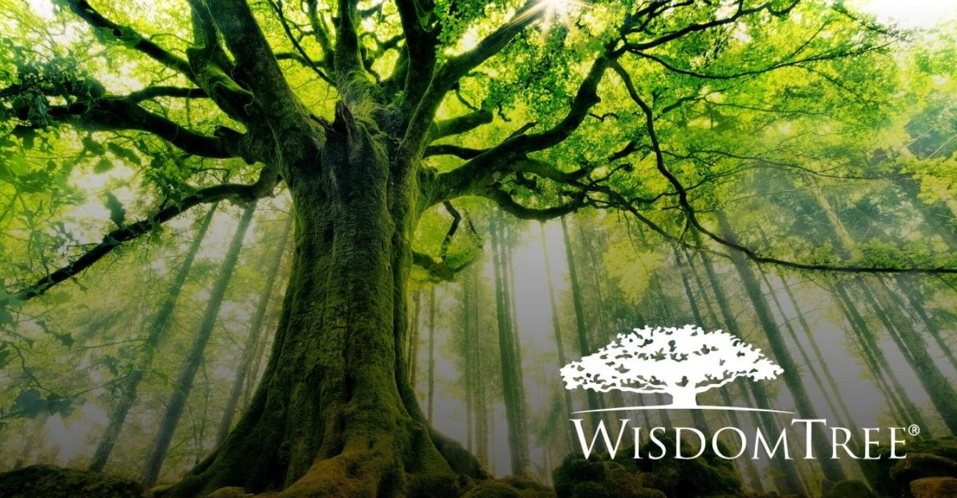 WisdomTree y MoonPay se alían para ampliar el acceso al fondo tokenizado WTGXX